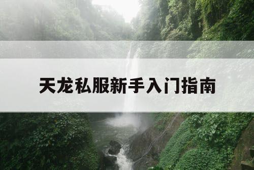 天龙私服新手入门指南