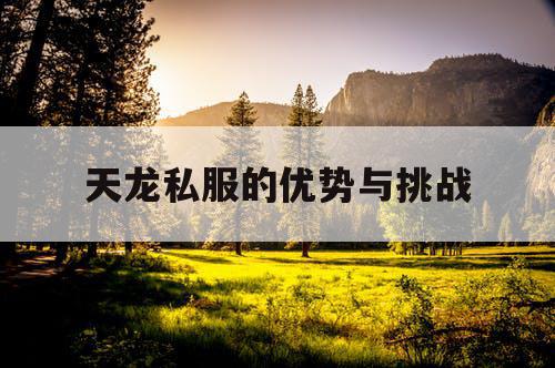 天龙私服的优势与挑战