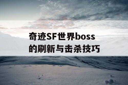 奇迹SF世界boss的刷新与击杀技巧