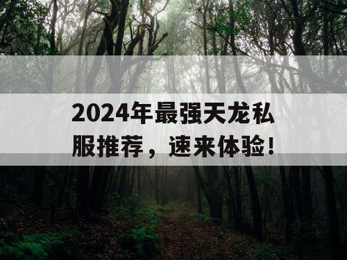 2024年最强天龙私服推荐，速来体验！