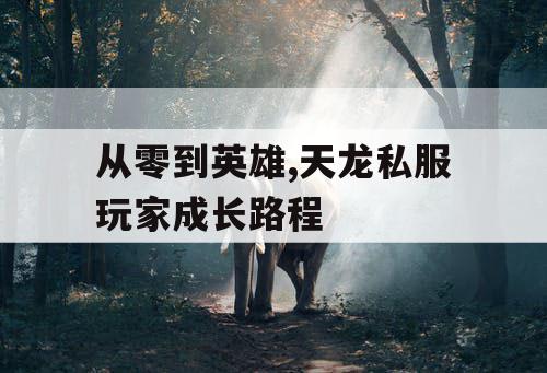 从零到英雄,天龙私服玩家成长路程