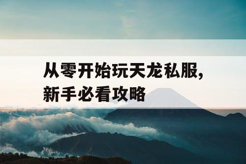 从零开始玩天龙私服,新手必看攻略 从零开始玩天龙私服,新手必看攻略