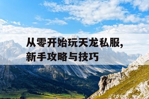 从零开始玩天龙私服,新手攻略与技巧