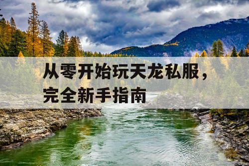 从零开始玩天龙私服,完全新手指南 从零开始玩天龙私服,完全新手指南
