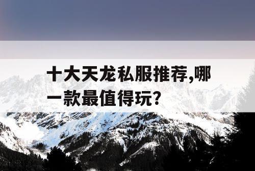 十大天龙私服推荐,哪一款最值得玩？
