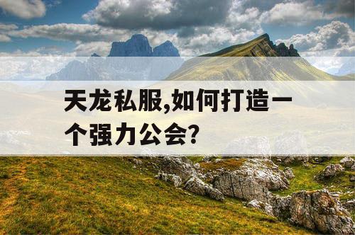 天龙私服,如何打造一个强力公会? 天龙私服,如何打造一个强力公会?
