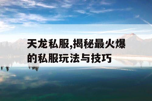天龙私服,揭秘最火爆的私服玩法与技巧 天龙私服,揭秘最火爆的私服玩法与技巧
