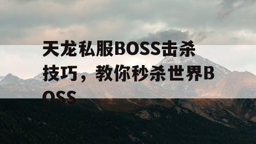 天龙私服BOSS击杀技巧，教你秒杀世界BOSS