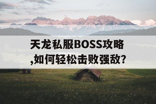 天龙私服BOSS攻略,如何轻松击败强敌？