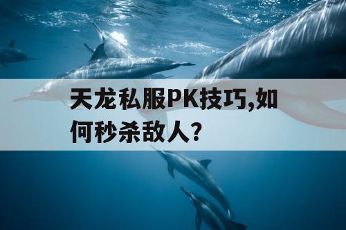 天龙私服PK技巧,如何秒杀敌人？