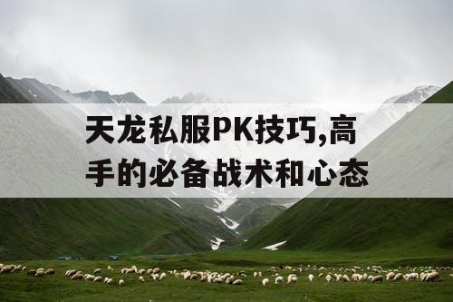 天龙私服PK技巧,高手的必备战术和心态 天龙私服PK技巧,高手的必备战术和心态