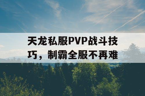 天龙私服PVP战斗技巧,制霸全服不再难 天龙私服PVP战斗技巧,制霸全服不再难