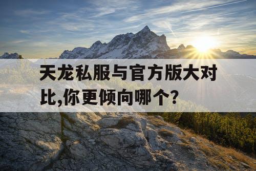 天龙私服与官方版大对比,你更倾向哪个? 天龙私服与官方版大对比,你更倾向哪个?