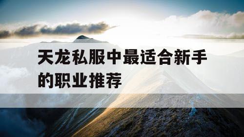 天龙私服中最适合新手的职业推荐