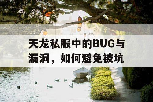 天龙私服中的BUG与漏洞，如何避免被坑