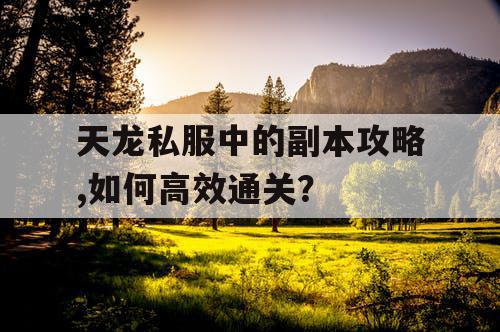 天龙私服中的副本攻略,如何高效通关？