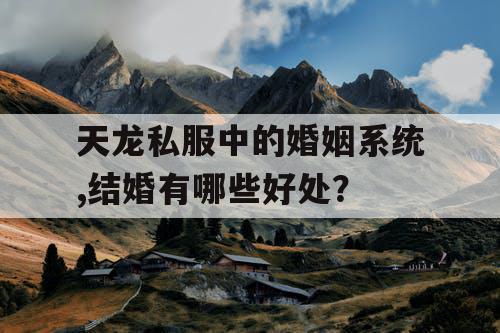 天龙私服中的婚姻系统,结婚有哪些好处？