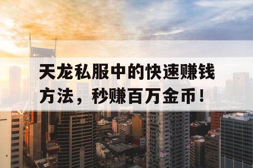 天龙私服中的快速赚钱方法，秒赚百万金币！