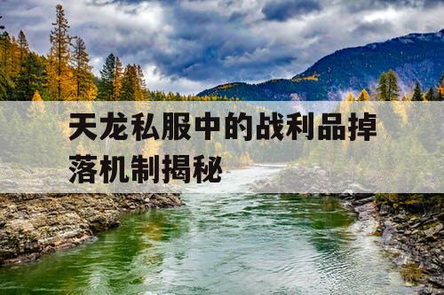 天龙私服中的战利品掉落机制揭秘