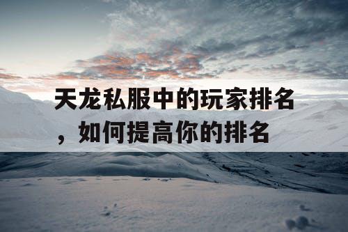 天龙私服中的玩家排名，如何提高你的排名