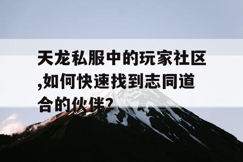天龙私服中的玩家社区,如何快速找到志同道合的伙伴？