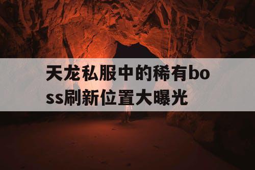 天龙私服中的稀有boss刷新位置大曝光