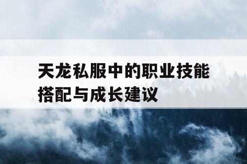 天龙私服中的职业技能搭配与成长建议