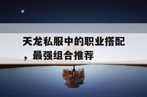 天龙私服中的职业搭配，最强组合推荐