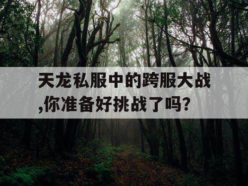 天龙私服中的跨服大战,你准备好挑战了吗？