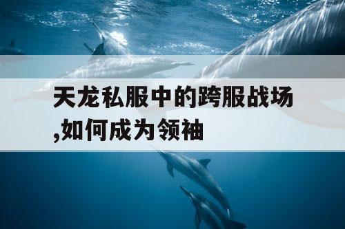 天龙私服中的跨服战场,如何成为领袖