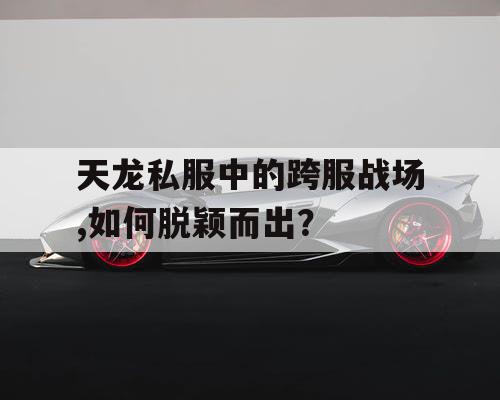 天龙私服中的跨服战场,如何脱颖而出？