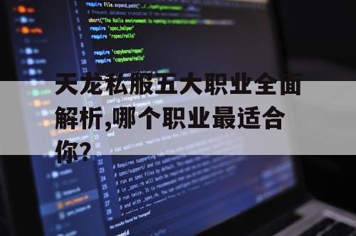 天龙私服五大职业全面解析,哪个职业最适合你？