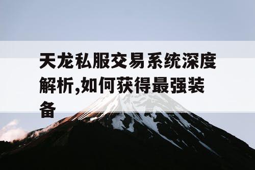 天龙私服交易系统深度解析,如何获得最强装备