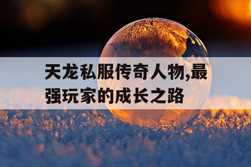 天龙私服传奇人物,最强玩家的成长之路 天龙私服传奇人物,最强玩家的成长之路