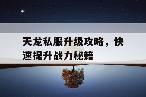 天龙私服升级攻略,快速提升战力秘籍 天龙私服升级攻略,快速提升战力秘籍