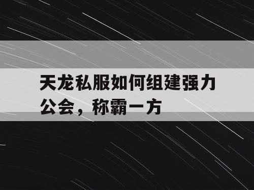 天龙私服如何组建强力公会,称霸一方 天龙私服如何组建强力公会,称霸一方