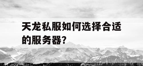 天龙私服如何选择合适的服务器? 天龙私服如何选择合适的服务器?