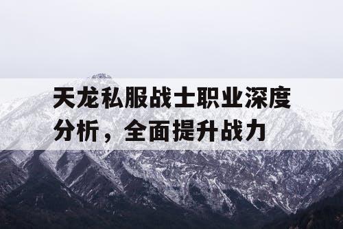 天龙私服战士职业深度分析，全面提升战力