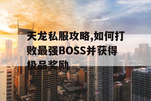 天龙私服攻略,如何打败最强BOSS并获得极品奖励