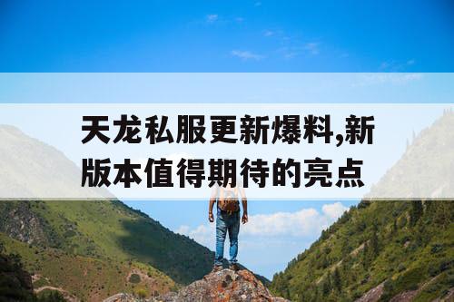 天龙私服更新爆料,新版本值得期待的亮点