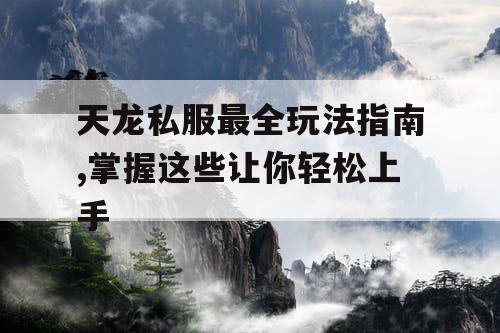 天龙私服最全玩法指南,掌握这些让你轻松上手