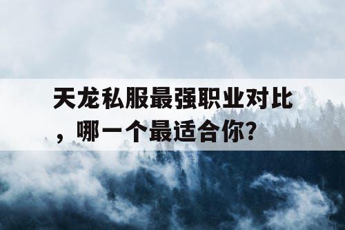 天龙私服最强职业对比,哪一个最适合你? 天龙私服最强职业对比,哪一个最适合你?