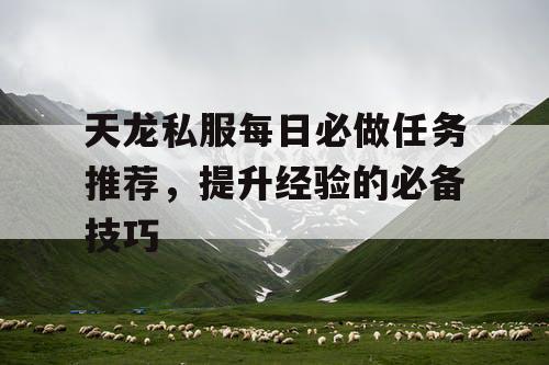 天龙私服每日必做任务推荐，提升经验的必备技巧