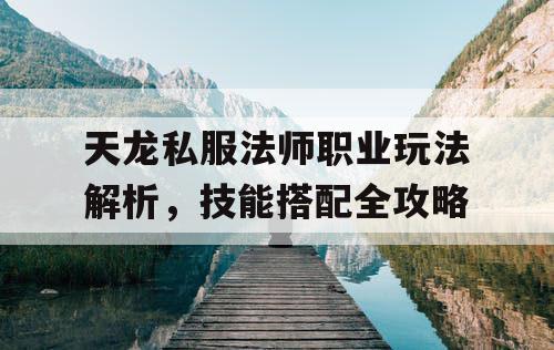 天龙私服法师职业玩法解析，技能搭配全攻略