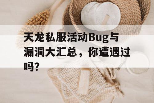 天龙私服活动Bug与漏洞大汇总，你遭遇过吗？