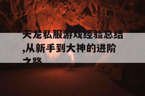 天龙私服游戏经验总结,从新手到大神的进阶之路