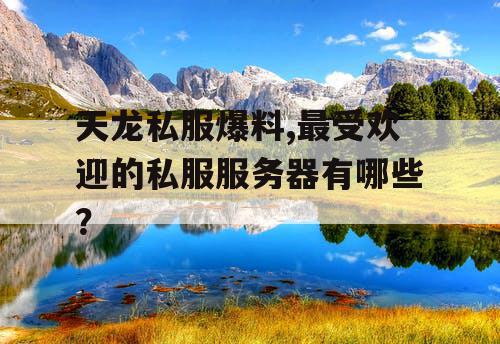 天龙私服爆料,最受欢迎的私服服务器有哪些? 天龙私服爆料,最受欢迎的私服服务器有哪些?