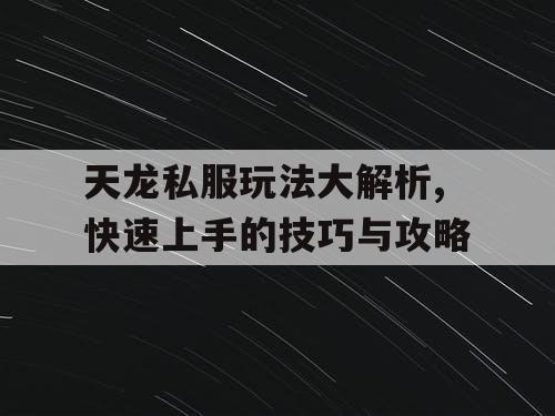 天龙私服玩法大解析,快速上手的技巧与攻略 天龙私服玩法大解析,快速上手的技巧与攻略