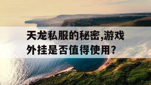 天龙私服的秘密,游戏外挂是否值得使用？