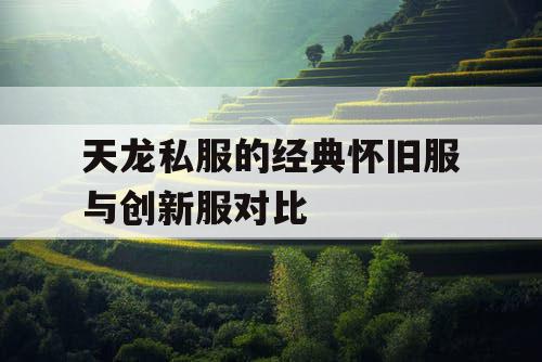 天龙私服的经典怀旧服与创新服对比 天龙私服的经典怀旧服与创新服对比